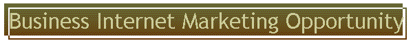 Business Internet Marketing Opportunity