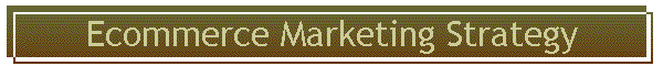 Ecommerce Marketing Strategy