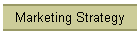 Marketing Strategy